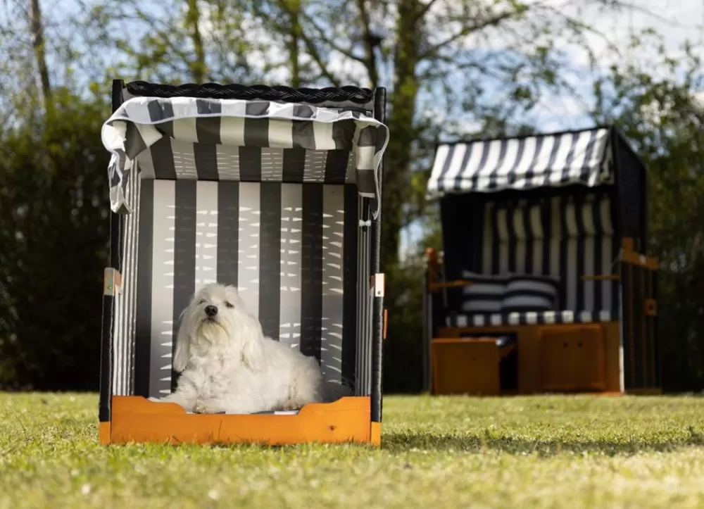 TP Strandkörbe^Hundestrandkorb Blau/Weis