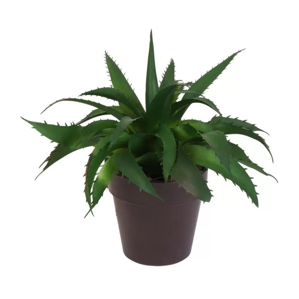 TP Kunstpflanzen Und Trockenblumen^Kunstliche Aloe Vera Im Kunststofftopf 17Cm Dunkelgrun