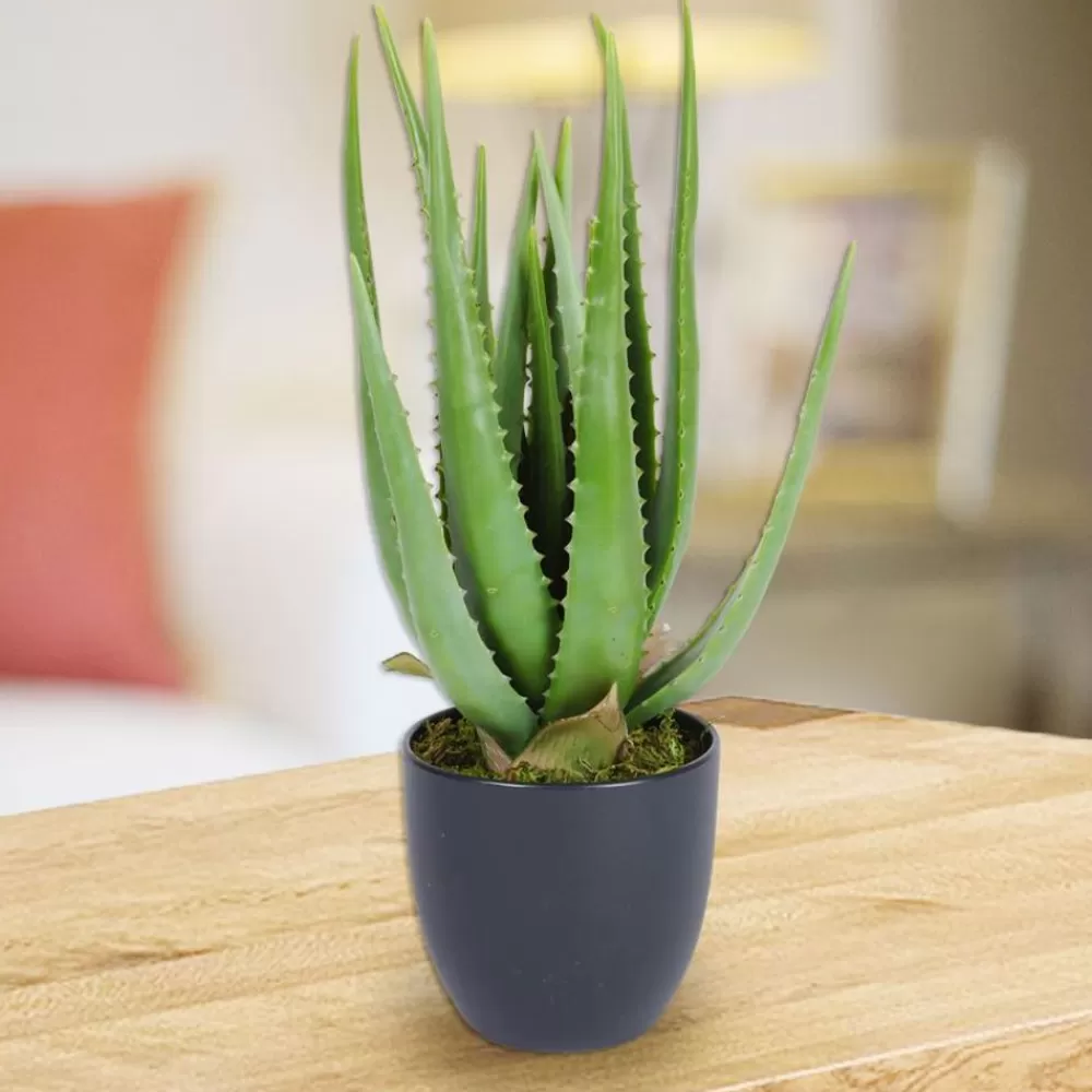 TP Kunstpflanzen Und Trockenblumen^Kunstliche Aloe Vera Im Topf 45Cm