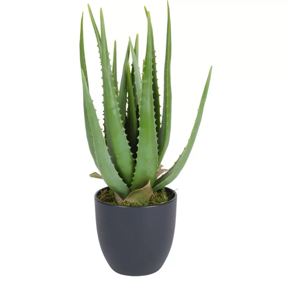 TP Kunstpflanzen Und Trockenblumen^Kunstliche Aloe Vera Im Topf 45Cm