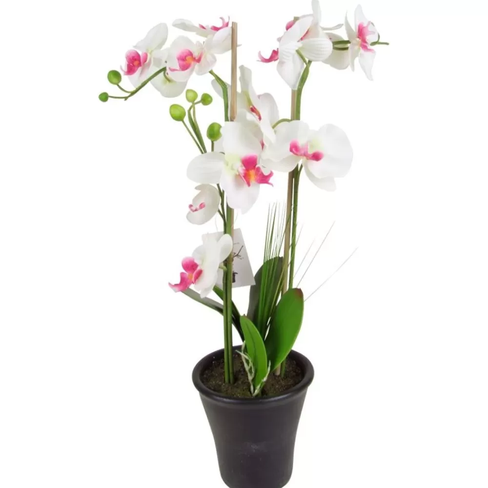 TP Kunstpflanzen Und Trockenblumen^Kunstliche Orchidee Mit 3 Rispen Weis/Pink