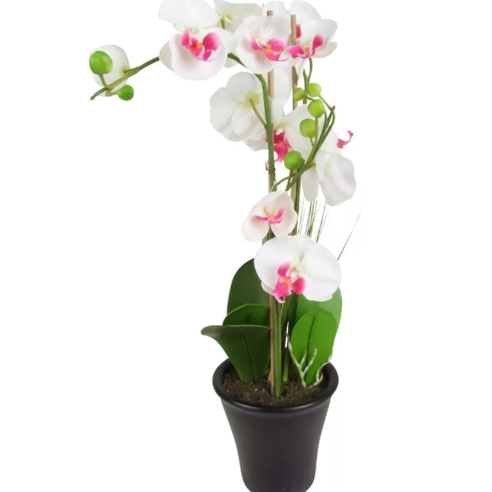 TP Kunstpflanzen Und Trockenblumen^Kunstliche Orchidee Mit 3 Rispen Weis/Pink