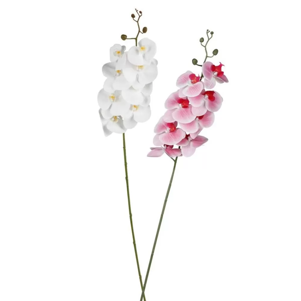 TP Kunstpflanzen Und Trockenblumen^Kunstliche Orchideenrispe Mit 8 Bluten 103Cm