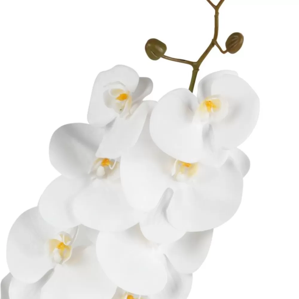 TP Kunstpflanzen Und Trockenblumen^Kunstliche Orchideenrispe Mit 8 Bluten 103Cm