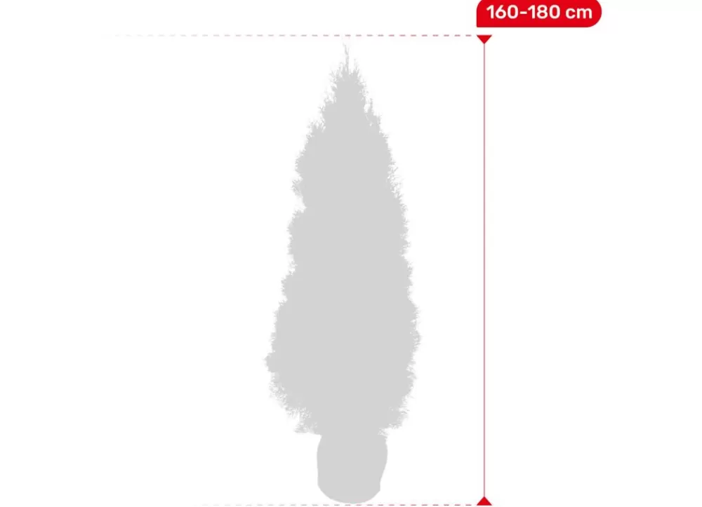 Hortiflora Pflanzenversand^Lebensbaum Thuja Occidentalis Smaragd Heckenpflanze 160-180Cm