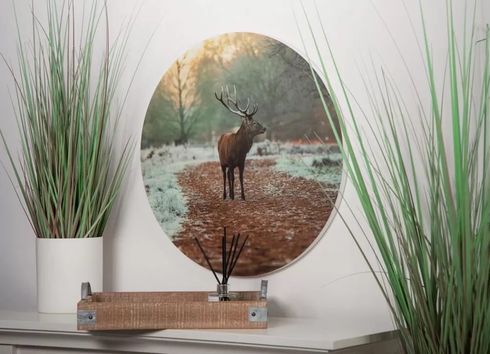 Seasons & Style Sonstige Innendeko^Rundes Wandbild Aus Mdf 58Cm Hirsch Im Wald